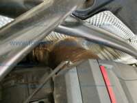 Audi Q5 2023 5p SQ5 Sportback V6/3.0/T Aut IMG_0721