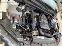 Volkswagen Polo 2025  IMG_1054