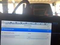 Seat Ibiza 2024  IMG_1382