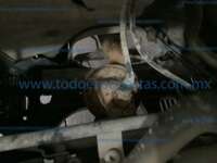 Seat Ibiza 2025  IMG_1570