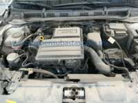 Volkswagen Virtus 2024 4p Trendline L4/1.6 Man IMG_6711