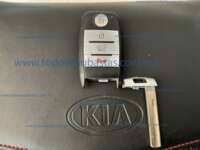 Minia
