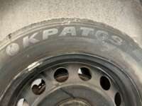 Minia