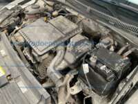 Volkswagen Polo 2025 5p Track L4/1.6 Man IMG_0325