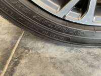 Seat Ibiza 2024 5p Xcellence L4/1.6 Man 2024 Seat Ibiza Venta Llantas 9