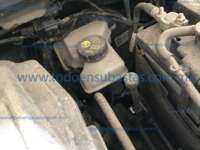 Volkswagen Polo 2025 5p Comfortline L3/1.0/T Tiptronic 2025 Volkswagen Polo Ingreso Motor 4
