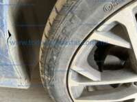 Seat Ibiza 2024 5p Xcellence L4/1.6 Man IMG_1757