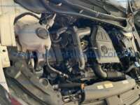 Volkswagen Polo 2025 5p Comfortline L3/1.0/T Tiptronic IMG_4265