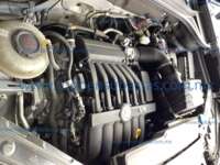 Volkswagen Teramont 2021 5p Cross Sport V6/3.6 Aut IMG_4136
