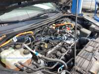 Ford Escape 2022  2022 Ford Escape Ingreso Motor 2