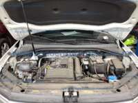 Volkswagen Tiguan 2024 5p Comfortline L4/1.4/T DSG 7 Pas 2024 Volkswagen Tiguan Ingreso Motor 1