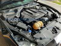 Ford Mustang 2021 2P GT COUPE PREMIUM V8 5.0L STD 2021 Ford Mustang Ingreso Motor 2