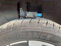 Minia