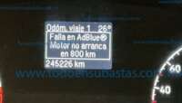 Minia