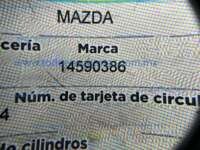 Minia