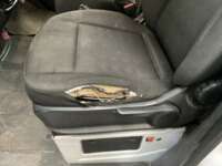 Minia
