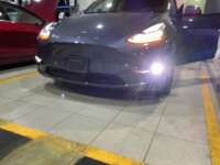 Minia