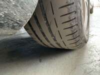 Minia