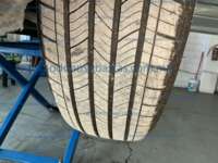 Minia