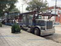 Minia