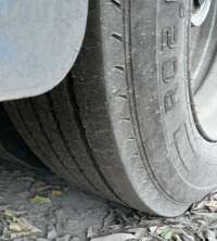 Minia